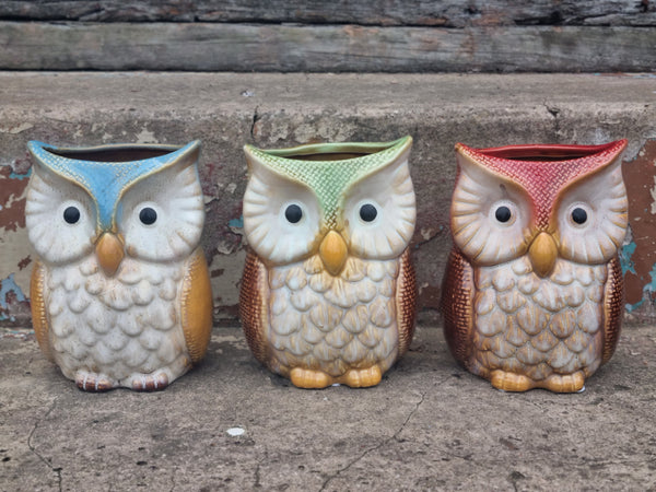 Owl Vase - assorted OVC