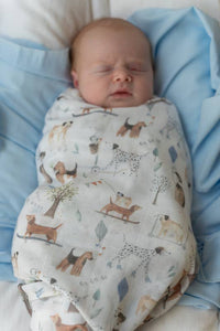 Muslin Wrap - Dogs Day Out Muslin Wrap/Swaddle MWDD