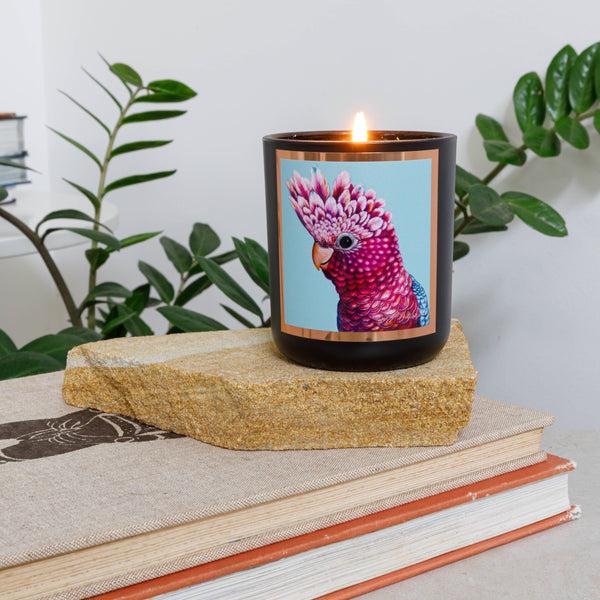 Candle - AROMA POT -  Australian artist soy candle - Desert Lime APDL .