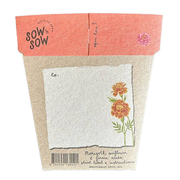 Seeds - Secret Garden Gift of Seeds SSG