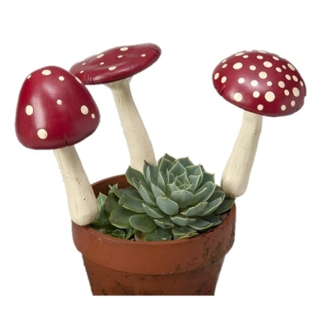 Toadstool - Assorted TSA