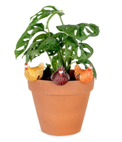 Pot Sitter - Chicken Small assorted colours PSCA