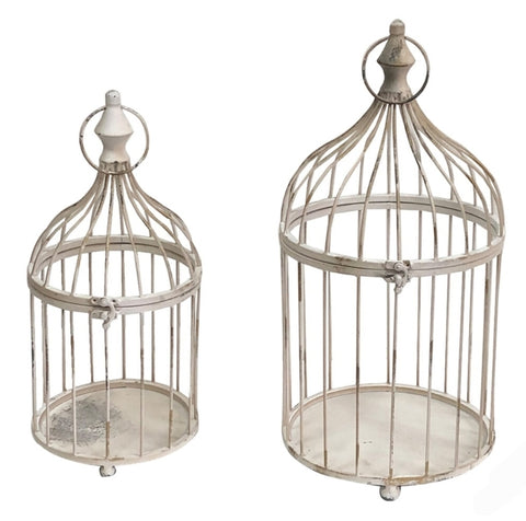 Bird Cage - French Provincial