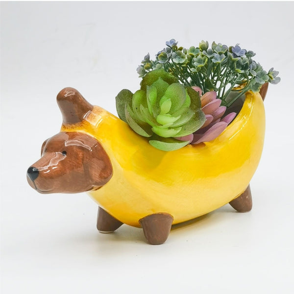 Pot - Dachshund in a Banana PDB