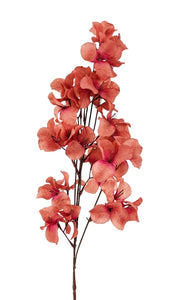 Flower - Bougainvillea FBU