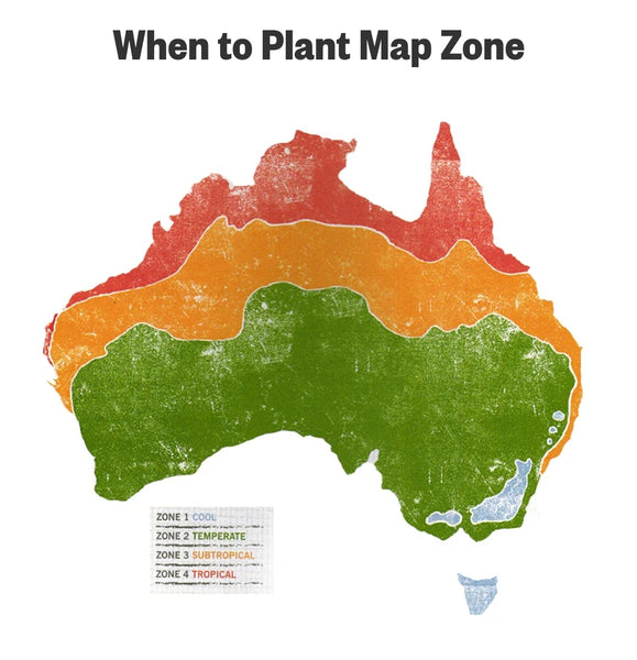 Seeds - Heirloom Seeds GBV 2024