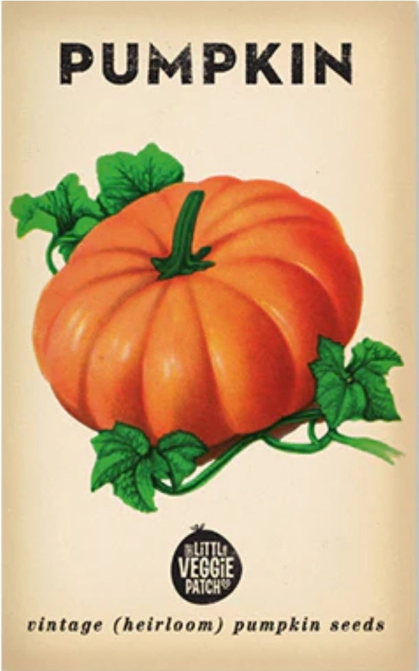 Seeds - Heirloom Seeds Pumpkin PSS 2024