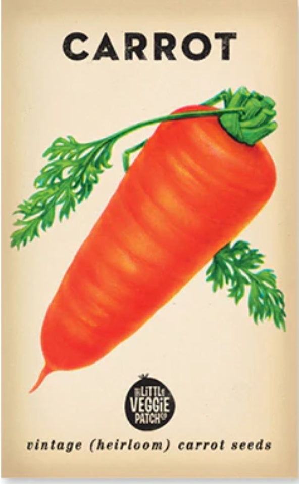 Seeds - Heirloom Seeds - Carrot Baby Amsterdam VCB 2024