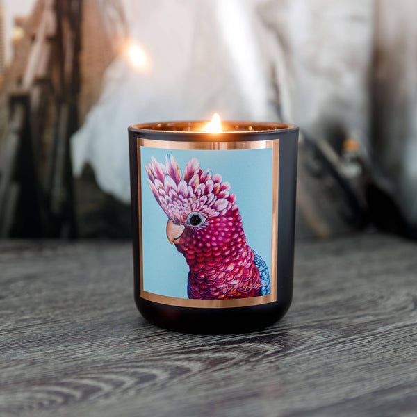 Candle - AROMA POT -  Australian artist soy candle - Desert Lime APDL .