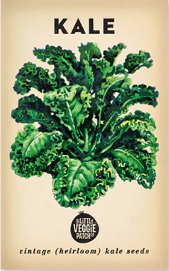 Seeds - Heirloom Seeds - Kale Dwarf Blue HSK 2024