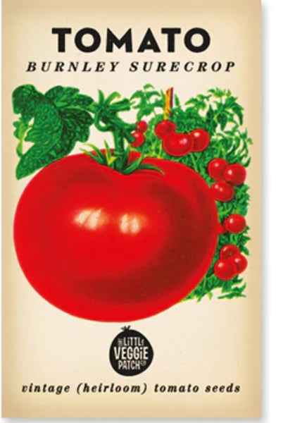 Seeds - Heirloom Seeds - Tomato Burnley Surecrop HSTB 2024